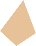 Polygone 1